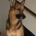 Anne Serfass - Facebook