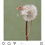 Anna Serrao-Carrieri - @serrao.anna - Instagram