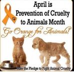 Anna Sharples - Facebook