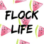 Anna Shepherd - @flock_life - Instagram