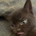 Anna Shepherd - Facebook