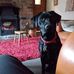 Anna Shepherd - Facebook