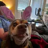 Wannabe_loser30 - @annashepherd30 - TikTok