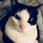 Anna Shives - @actuallyavs20 - Instagram