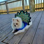 Anna Shockley - @annashockley8 - Instagram
