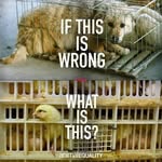 Anna Shockley - @nguyenngocanh06121980 - Instagram