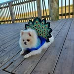 Anna Shockley - @annashockley8 - Instagram