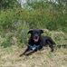 Anna Shockley - Facebook