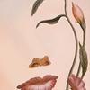 anna_shockley - @anna_shockley - TikTok