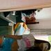 Anna Schaitel - Facebook