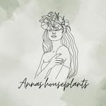 🪴Anna 🪴 - @annas.houseplants - Instagram