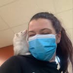Anna Showalter - @anna_plantain16 - Instagram