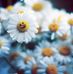 Anna Shpak - Facebook