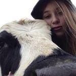 Anna Shriver - @farmgirl.23 - Instagram