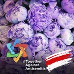 Anna Shulman - @annashulman78 - Instagram