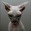 Anna Shust - @annashust2 - TikTok