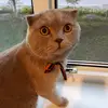 user4673149973102 - @annashuteeva - TikTok
