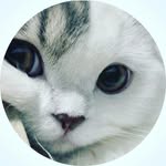 аня швед - @_anna_shved - Instagram