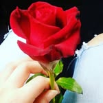 Anna Siano - @anna.siano.399 - Instagram