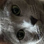 @an__na__sibal - Instagram