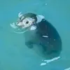 AnnaRita_Sicari - @annarita_sicari - TikTok