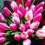 Анна Сидоренко - @anna_sidorenko18 - Instagram