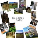Anna Siebold - @unsre_kleine_farm - Instagram