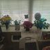 Ann Siegmann Beard - Facebook