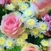 Anna Siemek - Facebook