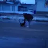 Anna Kanski - @anna_siemens - TikTok