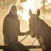 Turnier und Ausbildungsstall Anna Siemer - Facebook