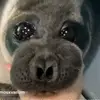 Anna Sienkiewicz342 - @annasienkiewicz34 - TikTok
