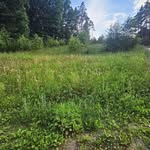 Anna Sienkiewicz - @oaza_na_palmowej - Instagram