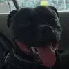 Anna Sienkiewicz-Kąkol - @anna.sienkiewiczk - TikTok