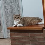 Annasiglia Di Leonardo - @anna.siglia - Instagram