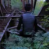 Ana Sigler - @ana.sigler - TikTok