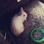 Anna-Lena Silberberger - @annalenasilberberger - Instagram
