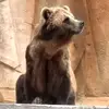 Anna Silverman - @anna.silverman - TikTok