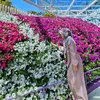 AnnaHasim486 - @annahasim2.0 - TikTok