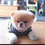 Anna_simard - @annasimard77 - Instagram