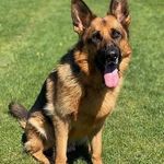 anna simard - @simard9145 - Instagram