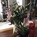 Anna Simard - Facebook