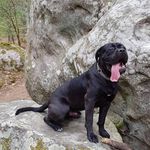 Anna simard - @anna_simard23 - Instagram