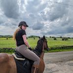 Anna Simmonds VetPartners - Facebook