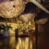 Anna Simonetti - @anna.simonetti97 - TikTok