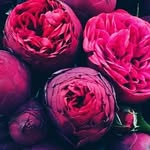 Anna Sirota - @_a_n_n_a_2_5_0_7_1_9_9_7_ - Instagram