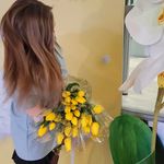 Анна Ситулина - @annasitulina - Instagram