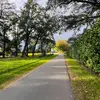 anna.ania - @anna.sliz - TikTok