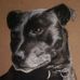 Anna Smallwood Animal Portraits - Facebook