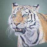 Anna Smallwood Art - @annasmallwoodart - Instagram